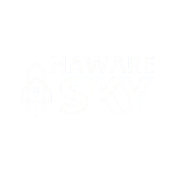 projectLogo