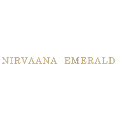 projectLogo